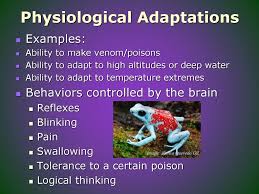 Adaptations Ec3ca Ppt Download