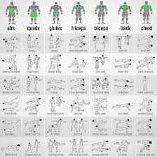 bodyweight exercises chart full body workout plan to be