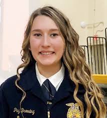 Former SRO officer arrested for DWI over holiday weekend