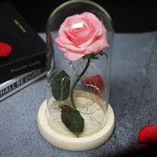 Eternal Led Rose In Glass Dome Glass Domes Glass Single Red Rose