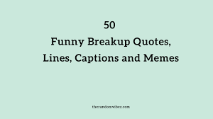 Have you ever had a funny thought pop into your brain? 50 Funny Breakup Quotes Lines Captions And Memes