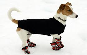 Sew horizontally across this mark so that the collar can be placed into the bandanna easily. How To Size Dog Boots So They Don T Come Off Sierra Blog