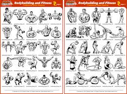 bodybuilding exercises pictures