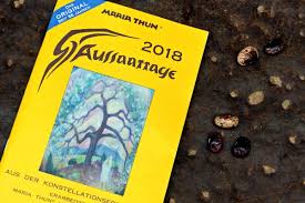 Wie Du Einen Anbauplan Fur Deinen Gemusegarten Erstellst Beispielplan Wurzelwerk Garten Garten Anpflanzen Gemuseanbau In Kubeln