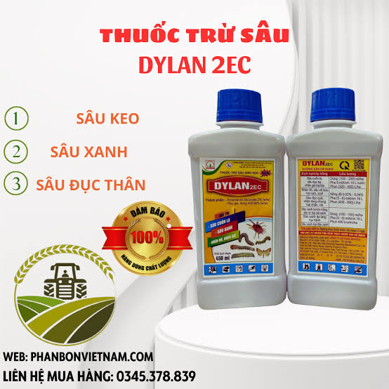 Dylan 2EC
