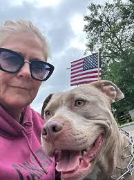 WE FOUND HER!!! Thank you to my wonderful family for all helping to find  her and to all the people that shard this post! I am sooo blessed!!! LOST  BEST FRIEND around