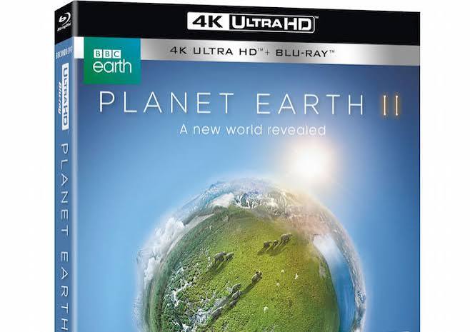 Planet Earth II is coming to 4K Ultra HD Blu-ray | What Hi-Fi?