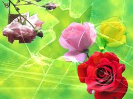 Selain itu, kamu juga bisa cek harga terbaru lukisan pemandangan taman bunga dan diurutkan dari harga yang termurah! 900 Gambar Bunga Terindah Ideas In 2021 Beautiful Flowers Photos Beautiful Flowers Images Planting Roses