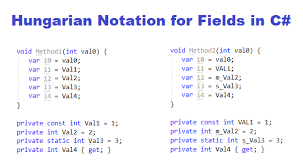 Hungarian notation can mean several things in programming, but the common it sort of follows the hungarian notation. Hungarian Notation For Fields In C Ndepend