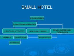 Organisation Structure Of Houskeping Dept