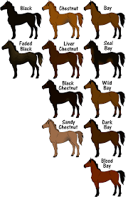 Testing can help determine the actual color of the horse. The Complete Coat Color Guide By Flamestorm11 On Deviantart