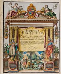 One Of The Absolute Treasures In The Library Of Teylers Museum Is A Hand Coloured Edition Of Basilius Besler S Hortus Eystettensis 1613 Besler Was A Nurembe