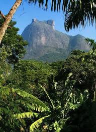 Pedra da gávea guided hike tour. Pedra Da Gavea Near Rio De Janeiro Brazil Brazil Travel Brazil Travel Guide Backpacking South America