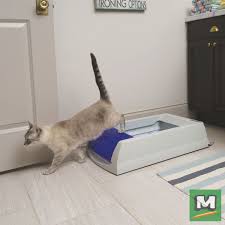 Take Control Of Your Cat S Litter Box With The Petsafe Scoopfree Original Self Cleaning Cat Litter Box Its Unbeatable Cat Litter Box Cat Litter Cat Supplies