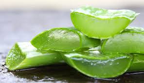 How to make aloe vera gel for hair. Aloe Vera Hair Mask 5 Easy Diy Recipes That Work Globo Surf