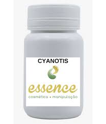 Image result for Cyanotis vaga