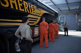 Search arrest records and find latests mugshots and bookings for misdemeanors and felonies. Custody Bureau Information Maricopa County Sheriff S Office