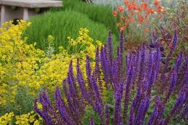 Purple is one of the most commonly found pansy colors. Garden Color How To Landscape With Purple