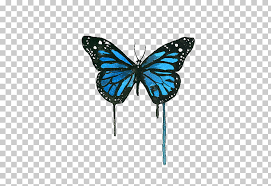 A collection of the top 47 aesthetic butterfly wallpapers and backgrounds available for download for free. Monarch Butterfly Painting Blue Painting Inspired