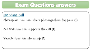 This question has already been answered but it reminded me of a similar question a student once asked me. Animal And Plant Cells Monday March 8 2021