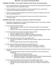 Check spelling or type a new query. Module 06 Cell Junctions Extracellular Matri X Chegg Com