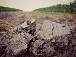 1 (1) obiectul prezentului act aditional il reprezinta rezilierea prin acordul partilor a contractului de arenda inregistrat la consiliul local al comunei _ cu nr. Un Nou Proces Colectiv StÄƒ SÄƒ IzbucneascÄƒ Rezilierea Contractelor De ArendÄƒ De La 1 Ianuarie Legestart