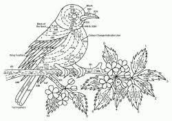 Thread Painting And Silk Shading Embroidery Techniques And Projects Needle Painting Or Thread Painting Hand Embroidery Kits Of Birds Silk Shading Silk Embroidery Animal Thread Painting Hand Embroidery Kits Crewel Embroidery