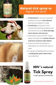 This blend of cereal grasses cat grass is a mixture of grasses typically grown from barley, oat, wheat, or rye seeds. Is Your Pet Suffering From Fleas Ticks And Mosquitos Help Them With A Natural Remedy Made With Real Organic Natural Pet Remedies Pet Remedies Cat Vitamins