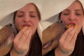 Video: Dog Owner Reveals Things They Have To Do to 'Eat in Peace'