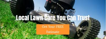 Shop with afterpay on eligible items. Lawn Care Spokane Dethatching Vs Aeration Infographic