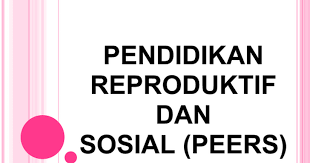 1) maksud seksual sekunder a) perubahan emosi pada permulaan akil baligh b) perubahan tubuh pada permulaan akil baligh c) pergaulan bebas 2) perubahan fizikal pada lelaki pada permulaan akil. Presentation Peers Pptx Google Slides