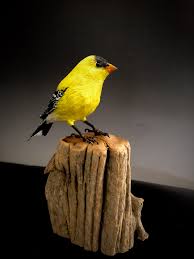 Birds For Sale In Ohio Craigslist The Artful Feather By Jim Durow Bird Carving Carving Lake Orion