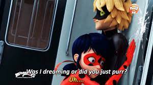 Ladyofacat Chat Purring Is Canon Season 2 Tfou Promo Miraculous Ladybug Miraculous Ladybug Memes Miraculous Ladybug Anime Miraculous Ladybug Funny