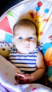 Pineview Memory Gardens