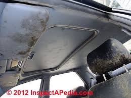 Ozone treatment will cause zero damage to you car. Curing Car Mold Or Mildew Smells Or Odors How To Find Remove Mold Odors Gases Smells In Vehicles