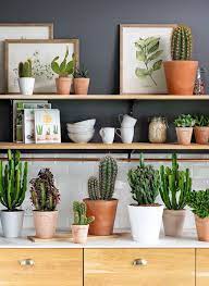 Maybe you would like to learn more about one of these? Petit Jardin D Interieur Nos Conseils Pour Le Creer Cote Maison