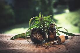 Quels Usages Faire De L Huile De Cannabis Beaute Feminin