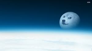 This rule has been expanded to cover 'forced' doge posts that feature the original 'doge' image, but have been modified in such a way that does not relate to the doge meme. 64 Doge Space