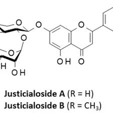 Image result for Ruspolia australis