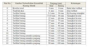 Contoh laporan kerja amal pendidikan moral (tingkatan 4 dan 5). Laporan Praktikum Pertumbuhan Dan Perkembangan Tumbuhan Praktikum Ipa Di Sd Media Ilmu