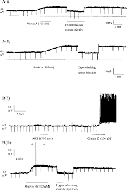 Figure 1 From Convergent Excitation Of Dorsal Raphe
