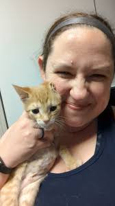 I know I haven't done a CHEESE PUFF update in a while, but she's been busy  beating calici, eating everything in sight at her foster, and FINALLY  getting big enough to get