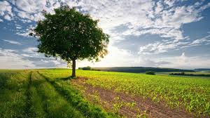 The Best Environmental Competitions For Students Institute Of Competition Sciences