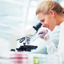 Check spelling or type a new query. Exames Laboratoriais
