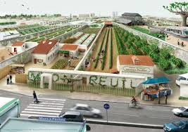 Montreuil Demain Quartier Des Murs A Peche Agriculture Urbaine Biodiversite Et Urbain