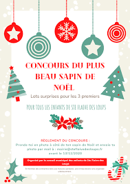 Un sapin de noel naturel. Concours Du Plus Beau Sapin De Noel Avant Le 13 Decembre 2020 Sainte Flaive Des Loups