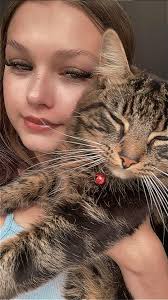 My sisters farm cat from Caer Bryner farm has been missing since Sunday  morning. He's very friendly, neutered and is microchiped. Please keep  you're eyes out for him. And any information please