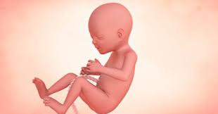 Maybe you would like to learn more about one of these? 17 Minggu Hamil Perkembangan Bayi Enfagrow Malaysia
