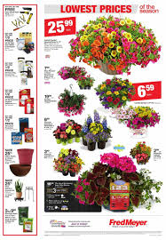 If you have a small budget for gardening and just want to add some color to your yard this is a fantastic way to achieve that goal. Fred Meyer Flyer 05 15 2019 05 21 2019 Page 20 Weekly Ads
