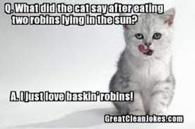 Halal Jokes And Funny Quotes 1 Cat Jokes Funny Cat Jokes Funny Cats